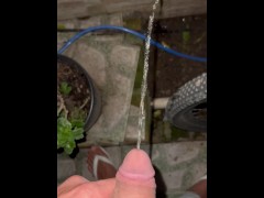 Mijando - Screenshot 11 of 16 - Pissing