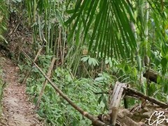 Sex in the Jungle - Screenshot 2 of 16 - Jungle Girl