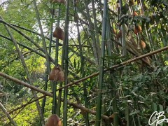 Sex in the Jungle - Screenshot 7 of 16 - Jungle Girl