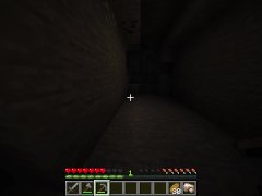 Minecraft survival pt2