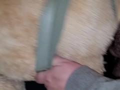 Cumming on my Teddy Bears ass