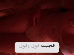 VIDEO HISTORIA DE SEXO REAL EN ARABE. 💋💋💋