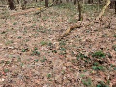 Open jacket for your titslapping 8/16