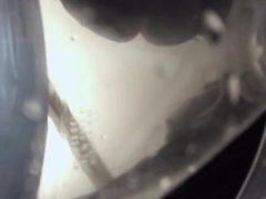 shrinking fetish clips 13/16