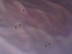 shrinking fetish clips 3/16