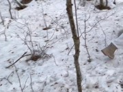 Preview 1 of Fucking my stepsister in the snowy woods
