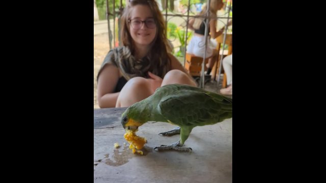 🇨🇴 Horny Travelers Go To Colombia 🇨🇴