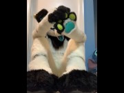 Preview 1 of Furry shows off feet & fucks a plushie