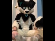 Preview 2 of Furry shows off feet & fucks a plushie