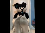 Preview 3 of Furry shows off feet & fucks a plushie