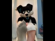 Preview 4 of Furry shows off feet & fucks a plushie