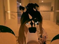 COOKIE LOVES GIVING TREATS