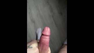 大巴尔干鸡巴混蛋