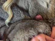 Preview 2 of Fur Fetish Couple - Alessia is wearing a Double Furcoat, Handjob, Doggysex & Cumshot on Fur