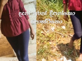 දෝණිගේ පොඩි ආතල් එක නතර වුනේ ඇතුලෙම දාගෙන Sri Lankan Outdoor Fuck new Leek