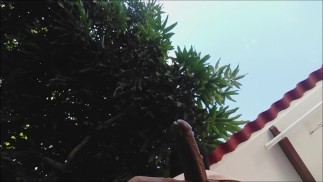 我自慰，最后射精