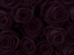 美魔女のメガネOLがストッキング越しのTバック尻を突き出してじゅぽフェラ - Screenshot 6 of 16 - 美魔女