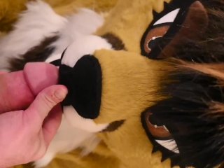 Screen Capture of Video Titled: Furries 2024