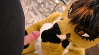 Furry Blowjob