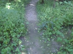 Marking the Forest Trails with my Pee - Screenshot 2 of 16 - Girls Peeing