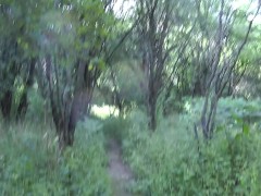 Marking the Forest Trails with my Pee - Screenshot 5 of 16 - Outdoors Pee