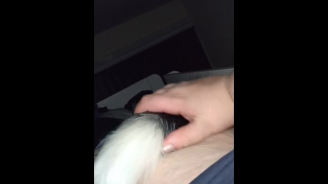 Big floofy tail