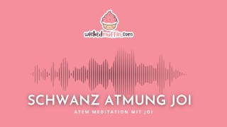 Amador Schwanzatmung Meditação JOI Instruções para masturbar Áudio apenas ASMR