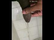 Preview 3 of Publicpiss