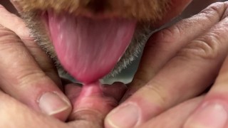 Licking And Sucking The MILF Clit