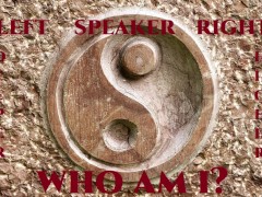 Who Am I? (PHA)