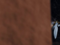 Selena and Hayabusa - Screenshot 1 of 16 - Mobile Legends