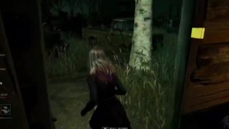 Погоня за неизвестным