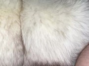 Preview 2 of Blue Fox Fur Gets 8 Cum Shots