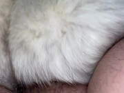 Preview 3 of Blue Fox Fur Gets 8 Cum Shots