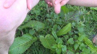 голый мочеиспускание