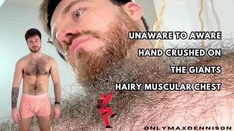 Unaware to aware hand crush on the giants muscular hairy chest
