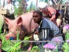 Photo Hunt #326 PC Gameplay