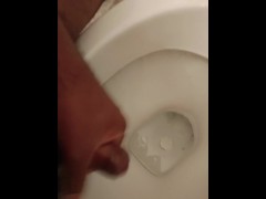 Quicky in the toilet  before work