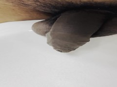 peeinglover - Screenshot 15 of 16 - Bestpee