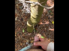 Wonderful golden piss compilation w/ bonus