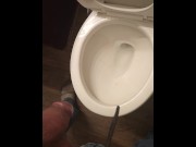 Preview 6 of Peeing in toilet