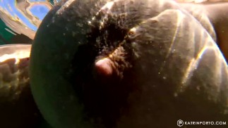 BBW met harig poesje naakt op strand