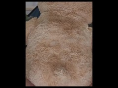 Teddy Bear Garage Fuck - Screenshot 4 of 16 - Plushie