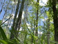 Compilation of me naughty pissing and cumming outside at public park loud moaning