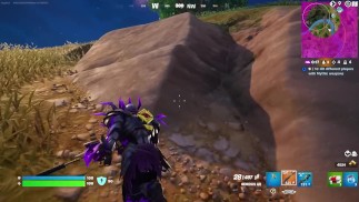 Fortnite: Victory!