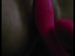 Slamming Sam's pink Bunny