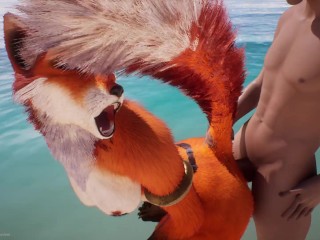 WildLife - Max and Frank fucking with a Foxy - Furry Hentai