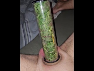 Brennnessel Und Pumpen