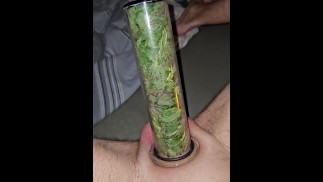 Brennnessel und Pumpen