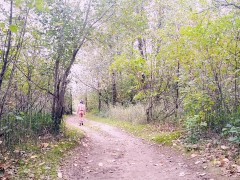 Bottomless fall walk in the woods